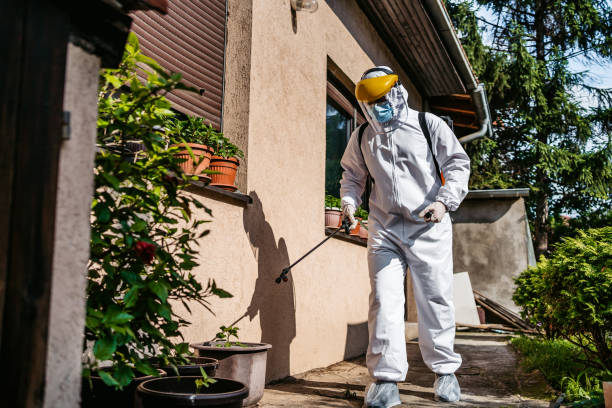 Best Cockroach Control Services  in Williamstown, WV