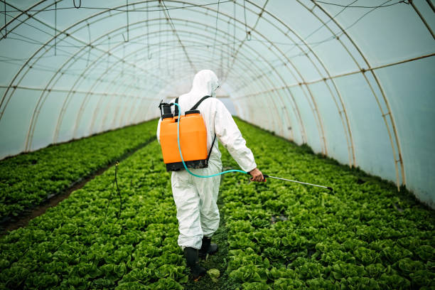 Best Affordable Pest Control Services  in Williamstown, WV