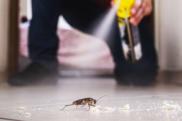 Best Pest Prevention Services  in Williamstown, WV