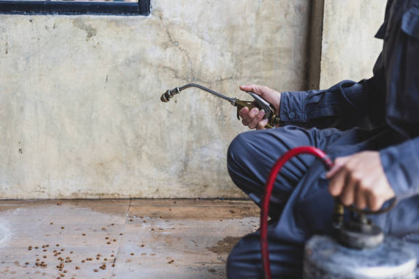 Best Termite Control Services  in Williamstown, WV